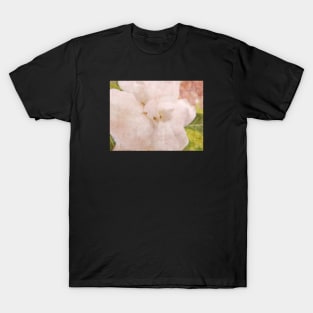 Gardenia Ecstasy T-Shirt